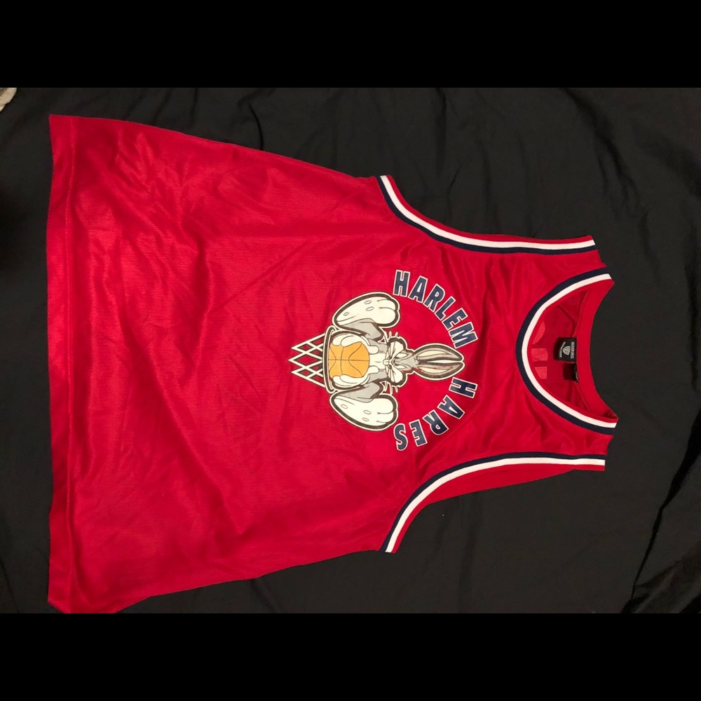 Vintage 90s Harlem HARES bugs bunny jersey